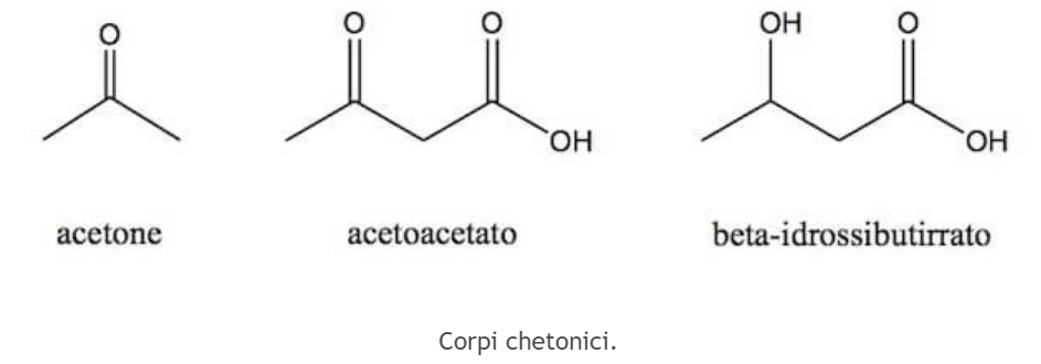 La dieta chetogenica nel trattamento dell’eccesso di peso: il protocollo VLCKD