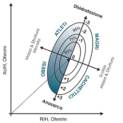 Diagramma indicativo dello stato di idratazione e nutrizione